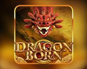 Dragon Born